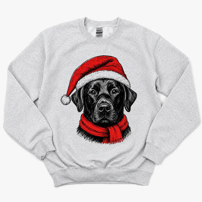 Santa Paws Christmas Dog Sweatshirt, 50 Dog Breeds in Festive Santa Hat Sweatshirt, Dog Lover Shirt, Funny Christmas Gift Sweatshirt